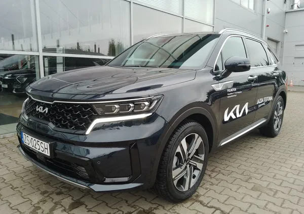 kia zachodniopomorskie Kia Sorento cena 224900 przebieg: 3850, rok produkcji 2023 z Młynary